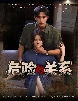 资源《危险的关系》的海报