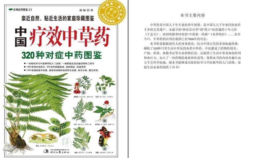 资源《《中国疗效中草药:320种对症中药图鉴 》实用自然图鉴[pdf]》的海报