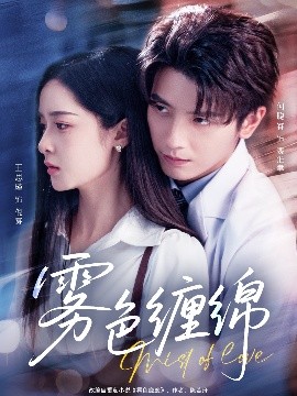 资源《雾色缠绵》的海报