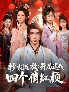 资源《抄家流放：开局送我四个俏红颜》的海报