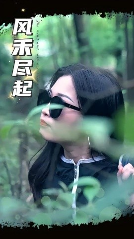 资源《风禾尽起》的海报