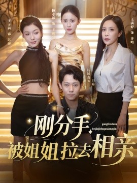 资源《刚分手被姐姐拉去相亲》的海报