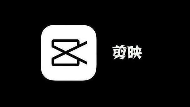 资源《2024剪映电脑版进阶拔高案例实操》的海报