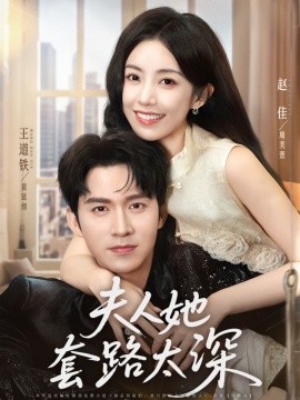 资源《夫人她套路太深》的海报