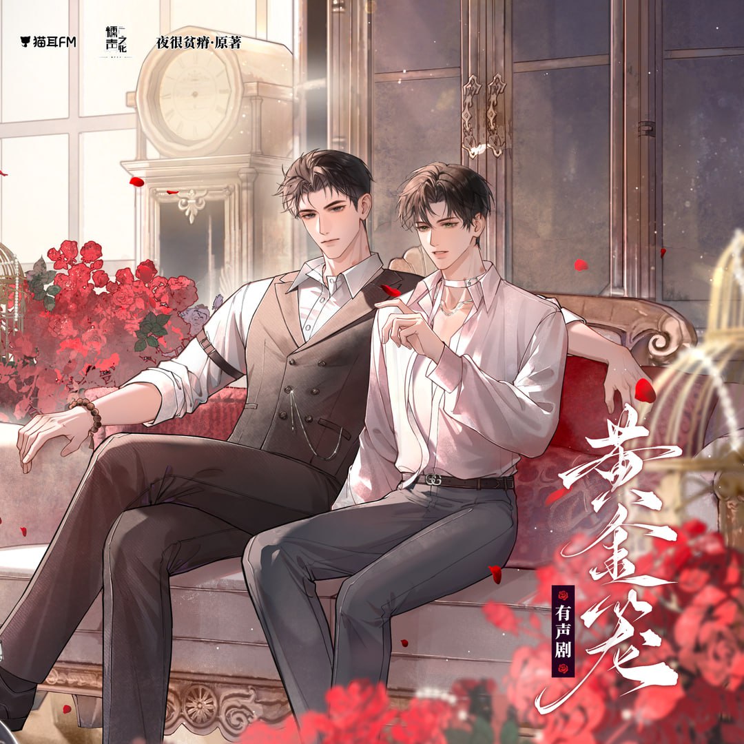 资源《《黄金笼》广播剧+小说(作者：夜很贫瘠)》的海报