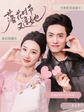 资源《落花时节又逢她》的海报