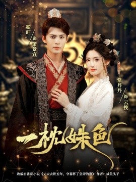 资源《一枕姝色》的海报