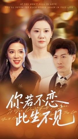 资源《你若不恋此生不见》的海报