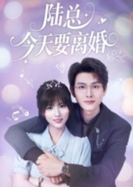 资源《陆总今天要离婚》的海报