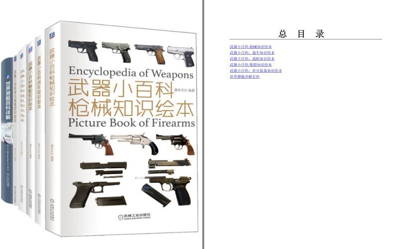 资源《《武器小百科之军迷系列》共6册 战机 枪械 战车 装备 舰船 潜艇 军迷必读武器百科知识[pdf]》的海报