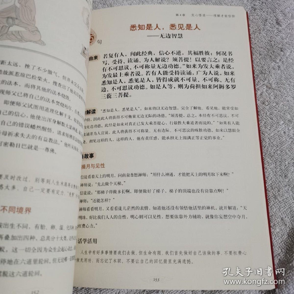 资源《《图解100句读懂金刚经》轻松通晓最深奥的佛法智慧[pdf]》的海报