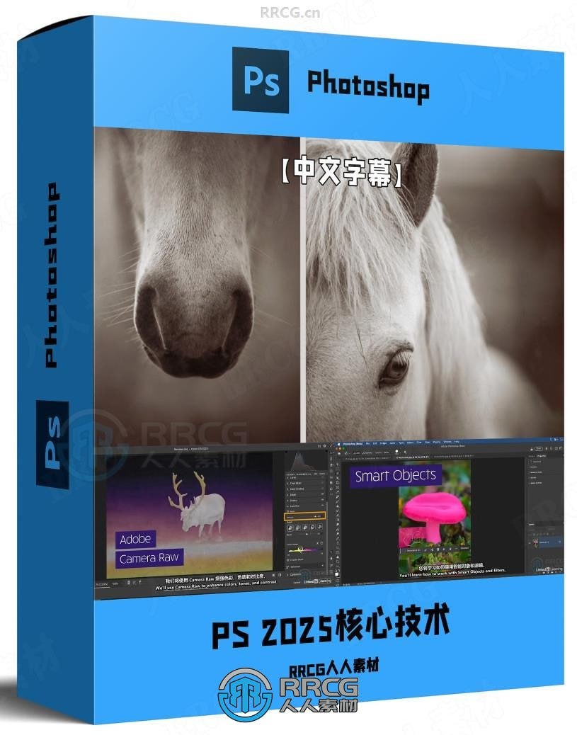 资源《Photoshop2025全面核心技术训练教程【中文字幕】》的海报