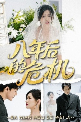 资源《八年后的危机》的海报