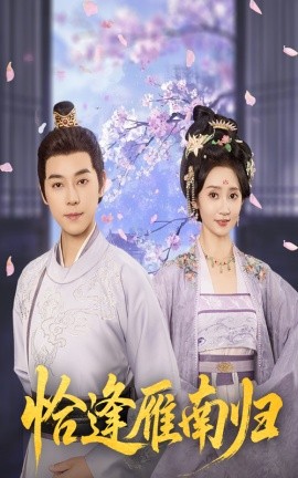 资源《恰逢雁南归》的海报