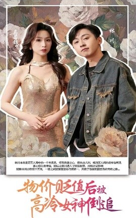 资源《物价贬值后被高冷女神倒追》的海报