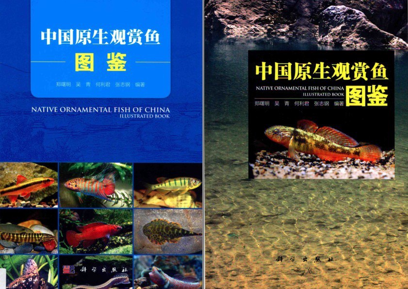 资源《《中国原生观赏鱼图鉴 》463种原生观赏鱼 中国观赏鱼类小百科[pdf]》的海报