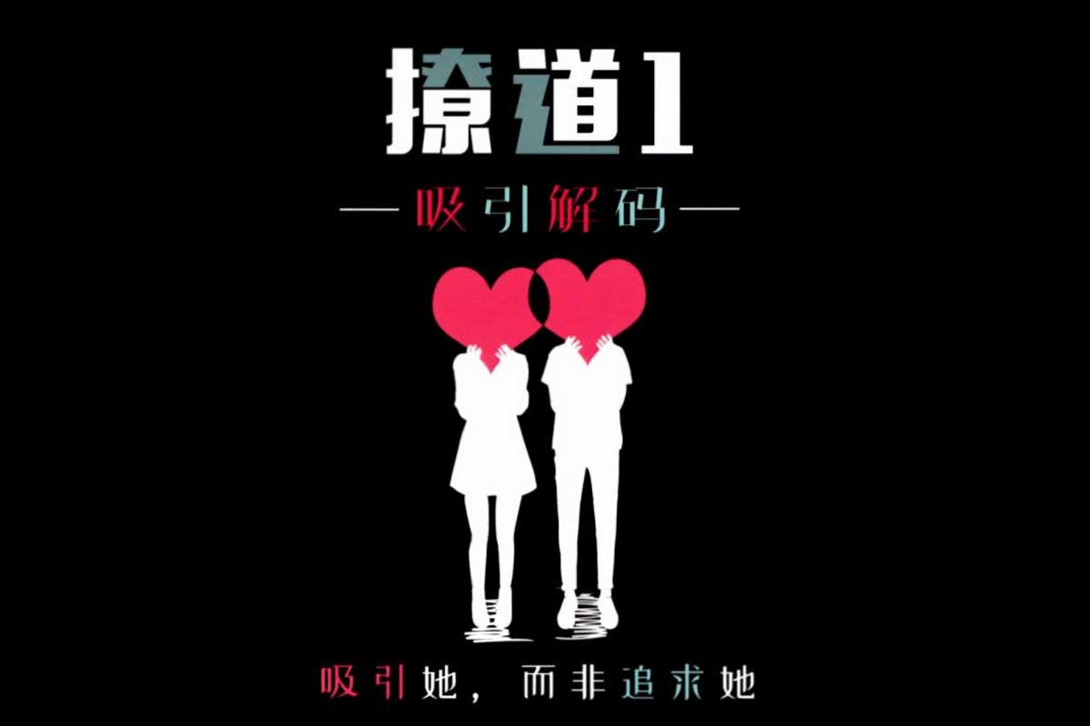 资源《绝版男生恋爱书籍：撩道1-5系列》的海报