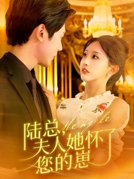 资源《陆总，夫人她怀了您的崽》的海报