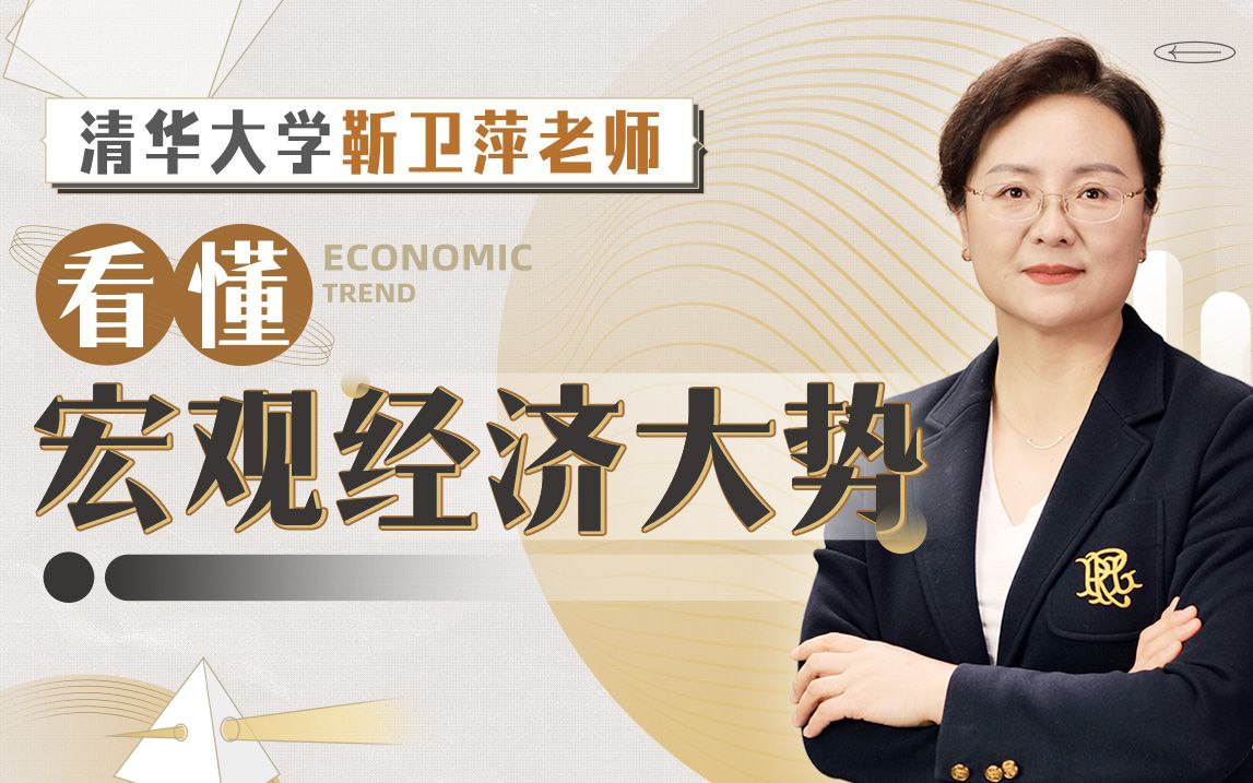 资源《B站 - 清华大学靳卫萍老师：看懂宏观经济大势》的海报