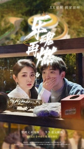 资源《乐魂再燃》的海报