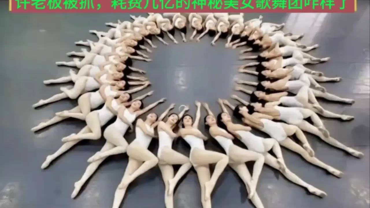 资源《恒大歌舞团 补》的海报