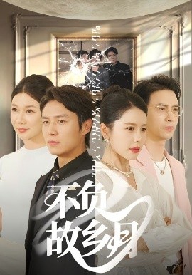 资源《不负故乡月》的海报