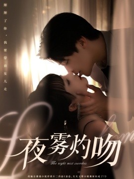 资源《夜雾灼吻》的海报