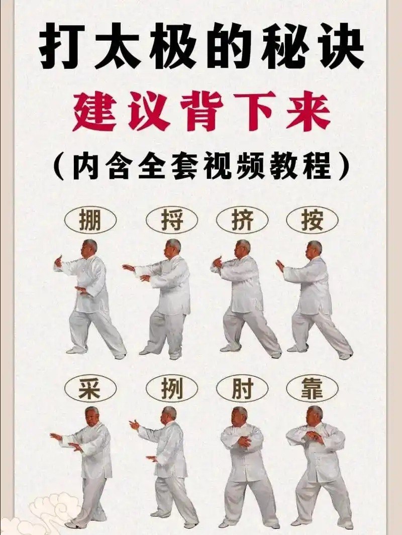资源《太极拳视频教程 养生必备》的海报