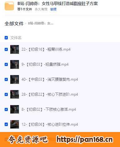 资源《B站闫帅奇  三套精品课》的海报