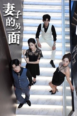 资源《妻子的另一面》的海报