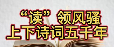 资源《申怡《上下诗词五千年》》的海报