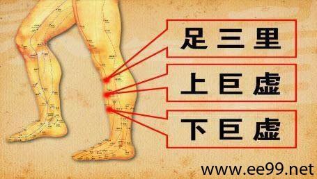 资源《《3D男性经络穴位图册 》老中医养生堂 白金珍藏版[pdf]》的海报