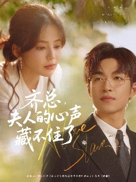 资源《齐总，夫人的心声藏不住了》的海报