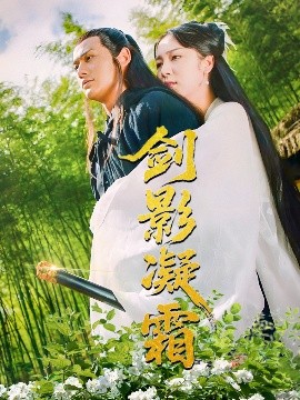 资源《剑影凝霜》的海报