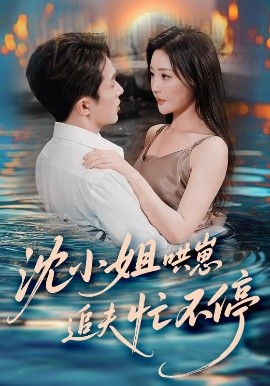 资源《沈小姐哄崽追夫忙不停》的海报