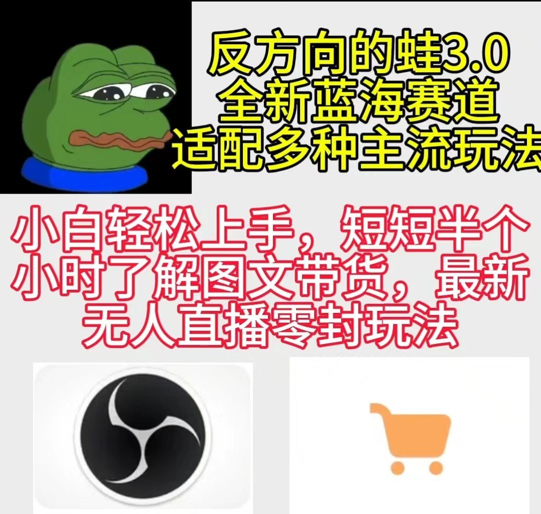 资源《反方向的蛙3.0，图文最新玩法，变现多元化，新蓝海项目，小白轻松上手》的海报