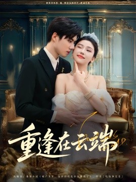 资源《重逢在云端》的海报