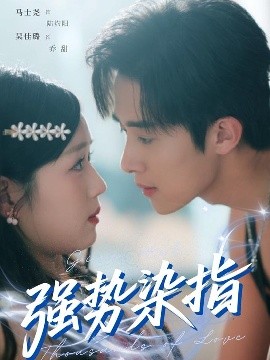 资源《强势染指》的海报