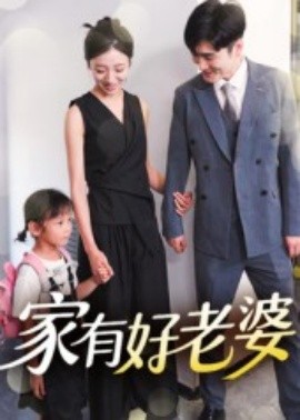 资源《家有好老婆》的海报