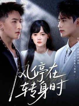资源《风停在转身时》的海报