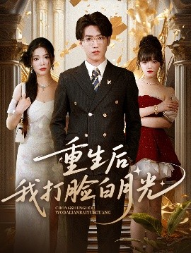 资源《重生后我打脸白月光》的海报