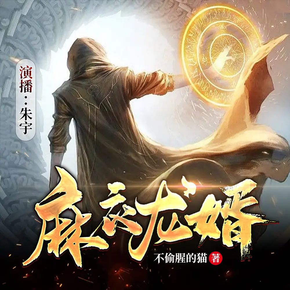 资源《多人有声剧《麻衣龙婿》主播：朱宇 1284集完》的海报