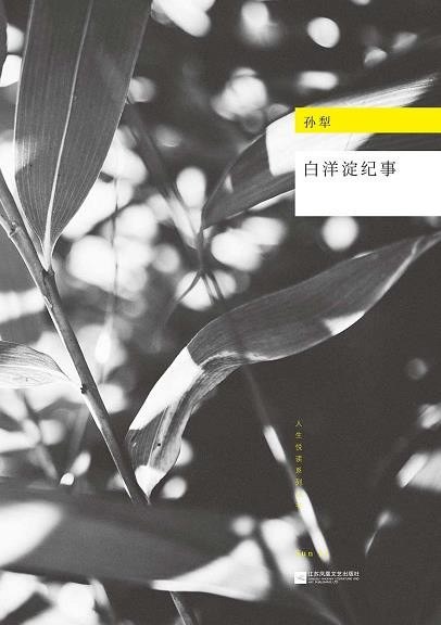 资源《《白洋淀纪事》孙犁 百年百种优秀中国文学图书[epub]》的海报