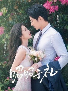 资源《昭昭于礼》的海报
