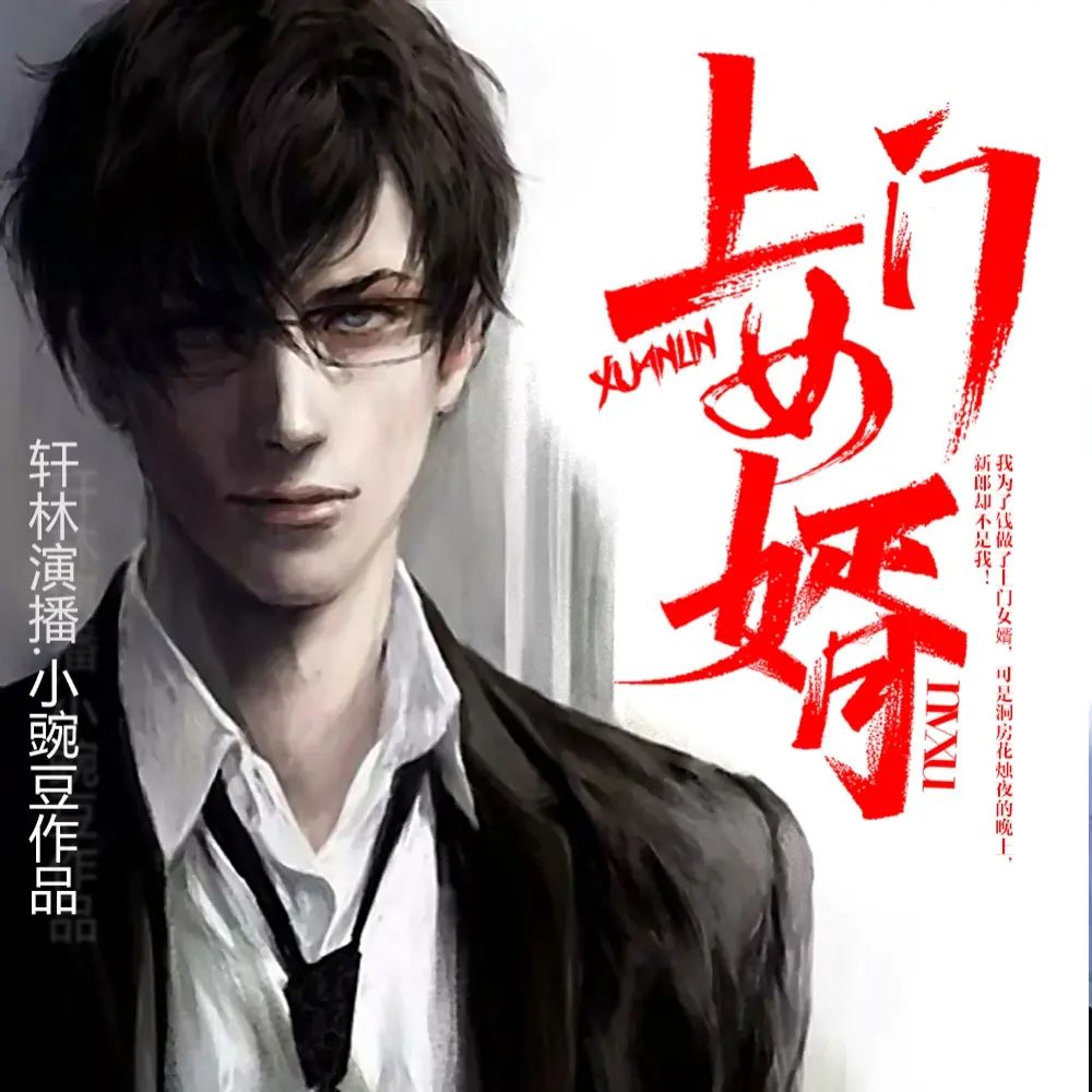资源《多人有声剧《上门女婿》主播：轩林 1137集完》的海报