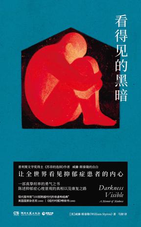 资源《看得见的黑暗 [﻿小说文学] [pdf+全格式]》的海报