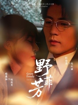 资源《野芳菲》的海报