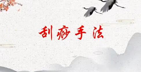 资源《人体十二部刮痧视频课程》的海报