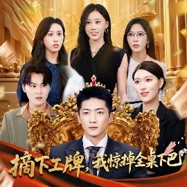 资源《摘下工牌，我惊掉全桌下巴》的海报