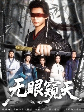 资源《无眼窥天》的海报